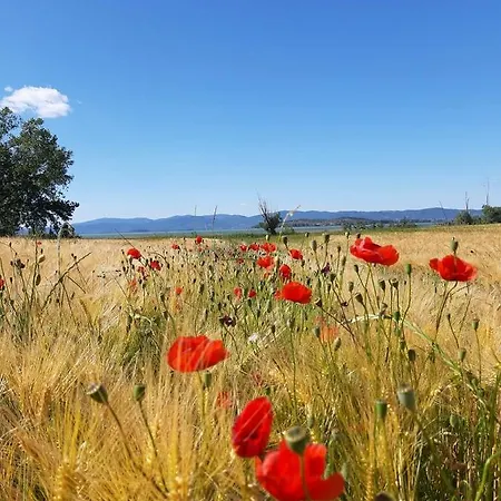 Gerendaház Casale Mille E Notte