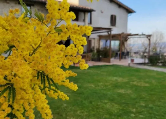 Casale Mille E Notte * بيرودجا