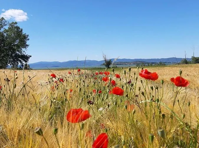 بيت خشبي Casale Mille E Notte